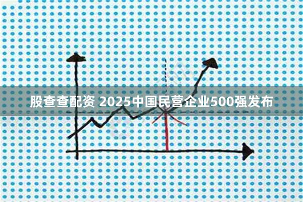 股查查配资 2025中国民营企业500强发布