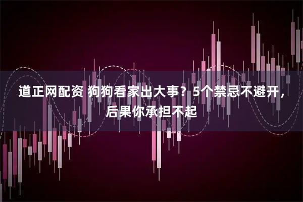 道正网配资 狗狗看家出大事？5个禁忌不避开，后果你承担不起
