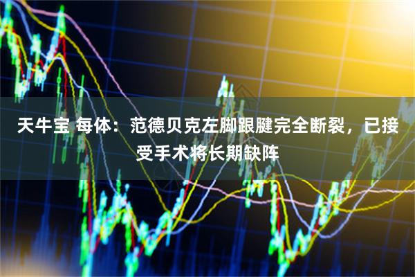 天牛宝 每体：范德贝克左脚跟腱完全断裂，已接受手术将长期缺阵
